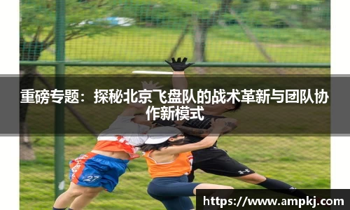 AG庄闲集团