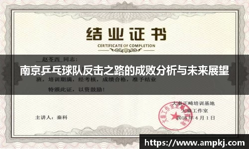 南京乒乓球队反击之路的成败分析与未来展望