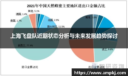 上海飞盘队近期状态分析与未来发展趋势探讨